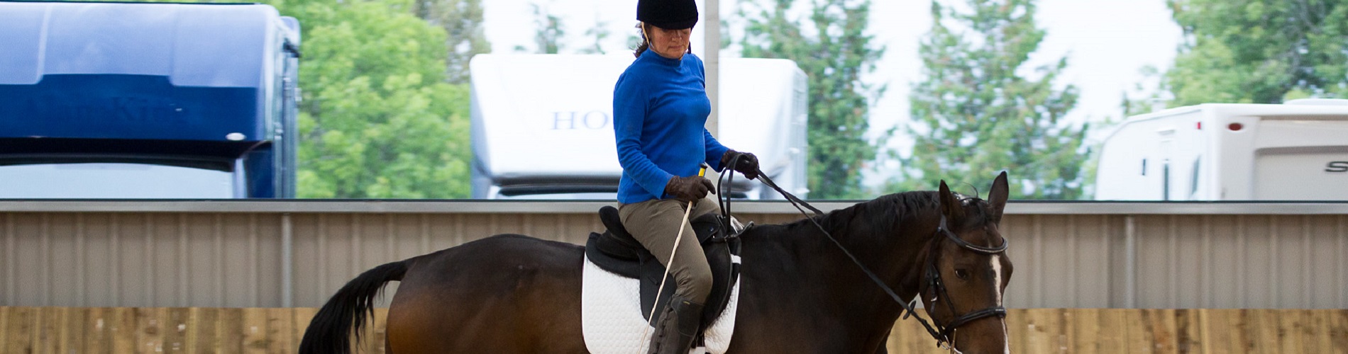Katherine riding her horse, Conquer at a clinic arranged by Aligned Balanced Connected