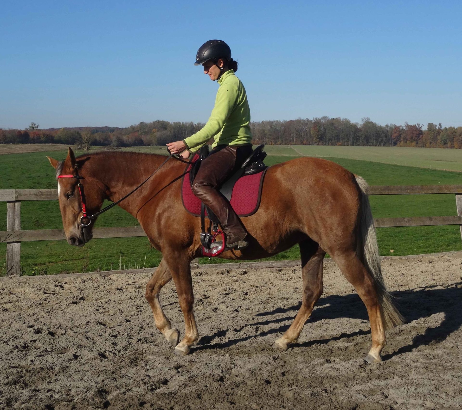 Day1 AlignmentHORSE Clinic Tue 21 April with Liz VanRoss