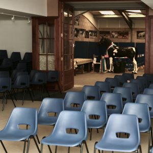 Brain Shift AlignmentHORSE Intensive Workshop with Liz VanRoss 2pm-6pm Friday 17th July (EARLY BIRD 1st 20 tickets only, latest 30 June 2026)