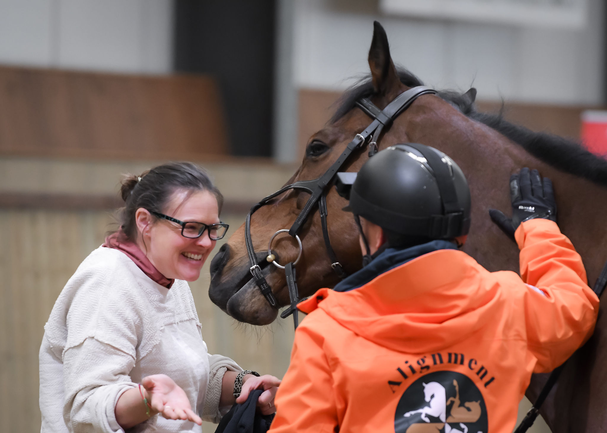 AlignmentHORSE Brain & Body Shift Clinic Full-Day1 with Liz VanRoss-Saturday Focus Groundwork