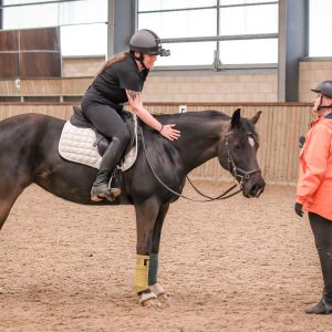 AlignmentHORSE Brain & Body Shift Clinic Full-Day2 with Liz VanRoss-Sunday Focus Riding