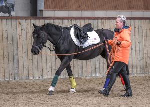Liz matching steps with Bonnie at an AlignmentHORSE clinic arranged by Aligned Balanced Connected